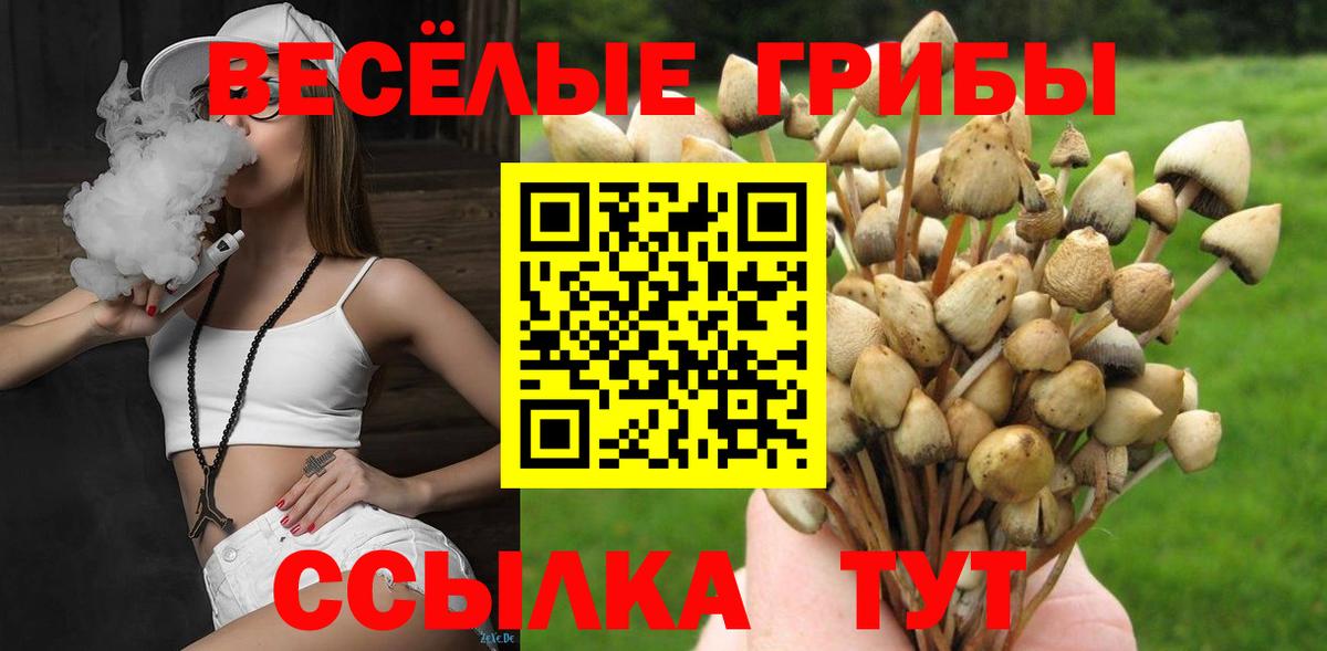 Галлюциногенные грибы мухоморы Отрадное