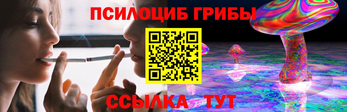 Отрадное  Псилоцибиновые грибы прущие грибы  Вход с VPN 